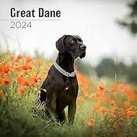 Algopix Similar Product 15 - MegaCalendars  Great Dane Calendar