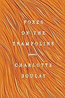 Algopix Similar Product 20 - Foxes on the Trampoline: Poems
