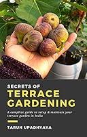 Algopix Similar Product 16 - Secrets of Terrace Gardening A