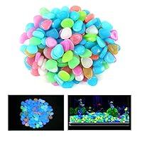 Algopix Similar Product 19 - QIAONIUNIU 100 Pcs New Colorful Glow in