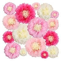 Algopix Similar Product 18 - Aunifun 16 Pieces Paper Flower Tissue
