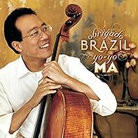Algopix Similar Product 4 - Obrigado Brazil