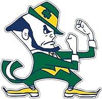 Algopix Similar Product 16 - Notre Dame 12" Car Magnet
