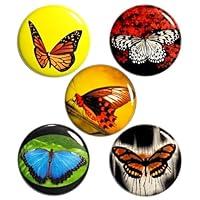 Algopix Similar Product 13 - Set of 5 Butterfly Fridge Magnets 5