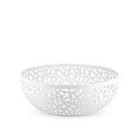 Algopix Similar Product 10 - Alessi MSA0429 W CACTUS Fruit