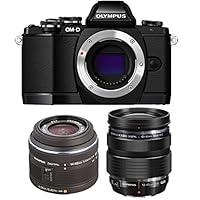 Algopix Similar Product 19 - Olympus OMD EM10 16MP Mirrorless