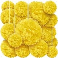 Algopix Similar Product 8 - Yellow Tissue Paper Pom Poms  Assorted