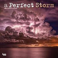 Algopix Similar Product 11 - A Perfect Storm 2025 12 X 24 Inch