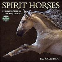 Algopix Similar Product 20 - Spirit Horses 2023 Wall Calendar