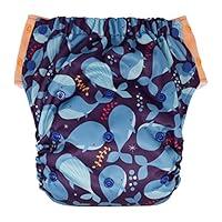 Algopix Similar Product 19 - Hybrid Cloth Diaper  Reusable Training