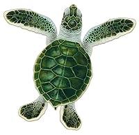 Algopix Similar Product 11 - Turtle Hatchling Style A Porcelain