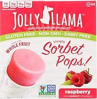 Algopix Similar Product 15 - Jolly Llama Sorbet 4Squeezup Raspberry