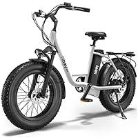 Algopix Similar Product 13 - Hiboy EX6 Electric Bike for Adults 20