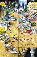 Algopix Similar Product 8 - Spatriati: A Novel