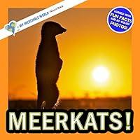 Algopix Similar Product 11 - Meerkats A My Incredible World