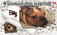 Algopix Similar Product 7 - Personalized Pet Memorial Garden Plaque