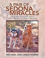 Algopix Similar Product 10 - A Pair of Sedona Miracles Life As Seen