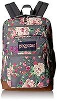Algopix Similar Product 15 - JanSport Cool Student 15Inch Laptop