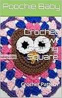 Algopix Similar Product 9 - Crochet Owl Granny Square Crochet