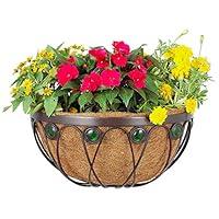 Algopix Similar Product 5 - Arcadia Emerald Series Wall Manger