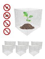 Algopix Similar Product 8 - 6 New Small Wire Plant Protectors 12