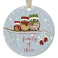Algopix Similar Product 20 - First Christmas as a Family of Three