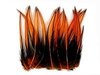 Algopix Similar Product 10 - 10 Pieces  Orange Laced 47 Long