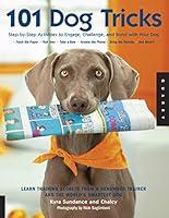 Algopix Similar Product 3 - 101 Dog Tricks Step by Step Activities