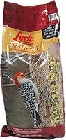 Algopix Similar Product 2 - Lyric Fruit  Nut High Energy Wild Bird
