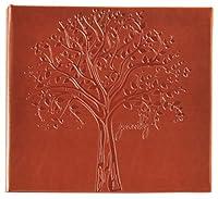 Algopix Similar Product 20 - Pinnacle Frames and Accents Family Tree