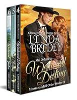 Algopix Similar Product 13 - Montana Mail Order Bride Box Set