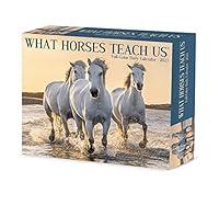 Algopix Similar Product 2 - What Horses Teach Us 2023 Box Calendar