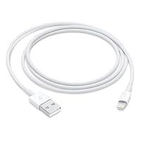 Algopix Similar Product 11 - Apple Lightning to USB Cable (1 m)