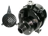 Algopix Similar Product 1 - Dayton 12U595 Pump, Submersible, 1/100HP