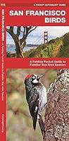 Algopix Similar Product 16 - San Francisco Birds A Folding Pocket