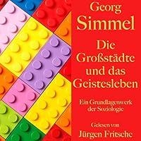 Algopix Similar Product 13 - Die Großstädte und das Geistesleben