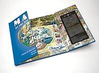 Algopix Similar Product 16 - Maps of the Disney Parks Charting 60