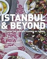 Algopix Similar Product 17 - Istanbul And Beyond Exploring the