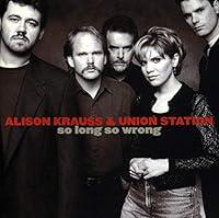 Algopix Similar Product 5 - So Long So Wrong