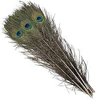 Algopix Similar Product 11 - 10pcs Long Natural Peacock Feathers