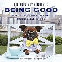 Algopix Similar Product 14 - The Good Boys Guide to Being Good