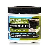Algopix Similar Product 1 - Reclaim Beyond Paint RC37 Sealer, 16 oz