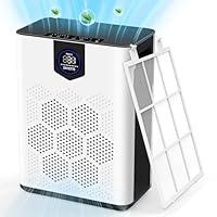 Algopix Similar Product 5 - DAYETTE Air Purifiers for Large Room