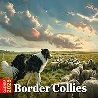 Algopix Similar Product 18 - Border Collies Calendar 2025 365 Days