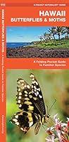 Algopix Similar Product 6 - Hawaii Butterflies  Moths A Folding