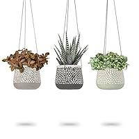 Algopix Similar Product 2 - 3 Pack Hanging Planter for Indoor