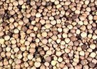 Algopix Similar Product 9 - OliveNation Whole White Peppercorns 8