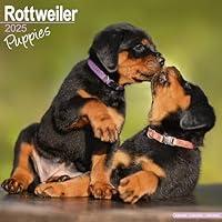 Algopix Similar Product 15 - Rottweiler Puppies Calendar 2025 