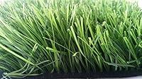 Algopix Similar Product 4 - Zen Garden Tall Premium Synthetic Grass