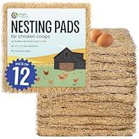 Algopix Similar Product 17 - MagJo Premium Aspen 12 Pack Excelsior